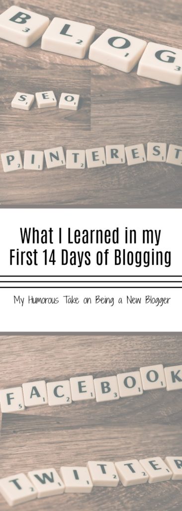 10 Things I learned in the first 14 days of starting my new blog! No tips. No ideas. No Checklist. Just my interpretation of life as a new blogger!