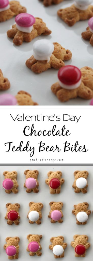 Chocolate Teddy Bear Bites
